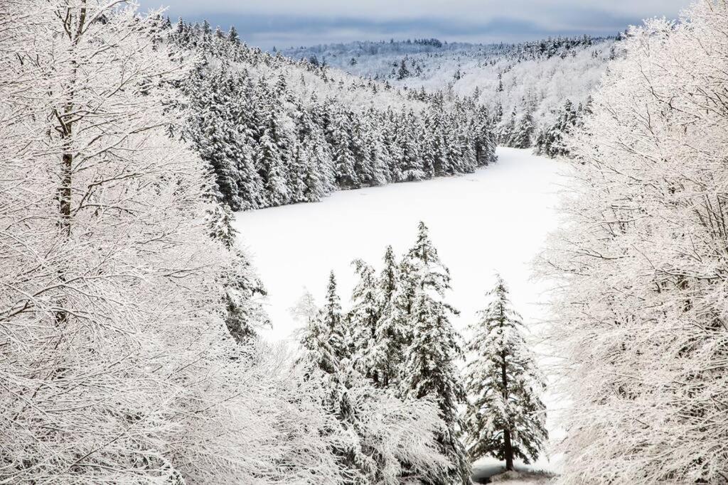 Vermont Ski Home Lake Home Jacksonville Exterior photo